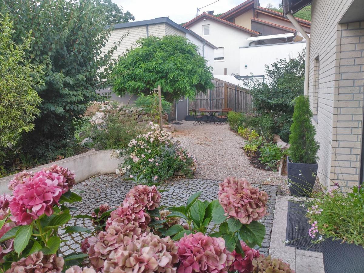 By Vollmer'S Komfortabel Und Chic Apartment Offenburg Exterior photo